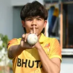 highest individual score in t20 cricket