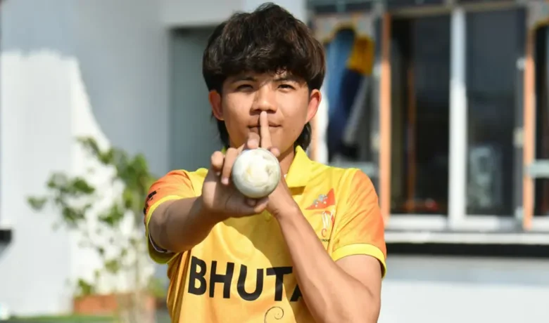 highest individual score in t20 cricket