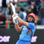 highest individual score in t20 cricket