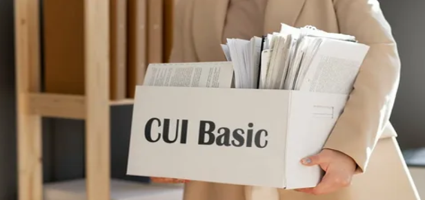 CUI basic