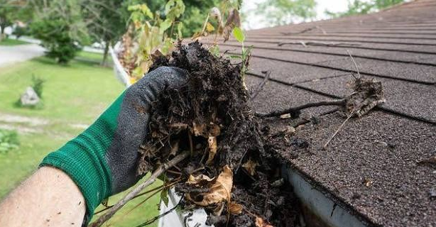 gutter cleaning rochester new york​
