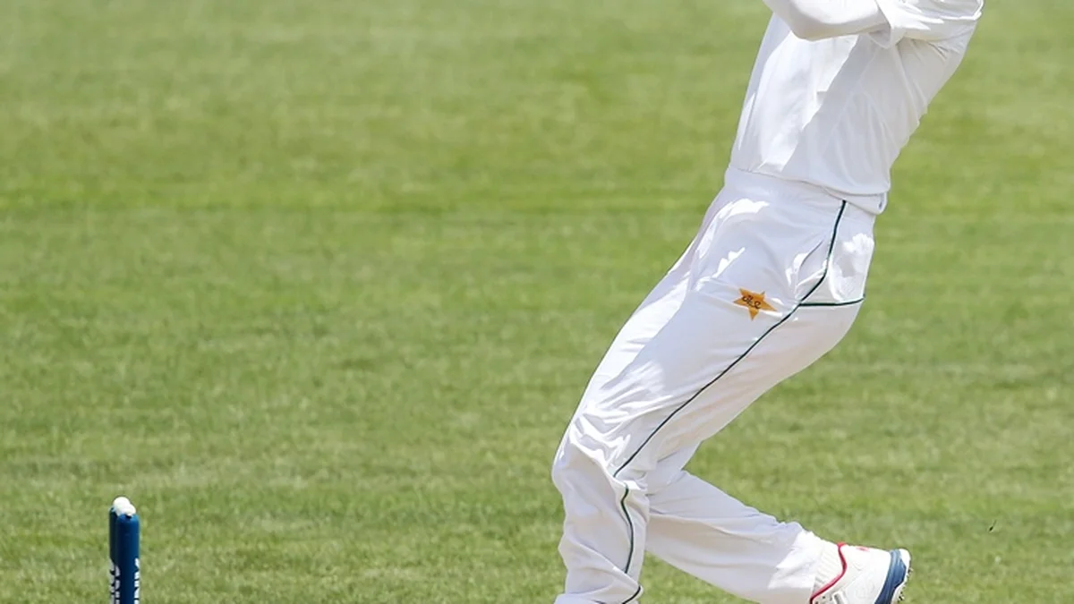 UAE Bulls squad Abu Dhabi T10 2026 Muhammad Amir bowling